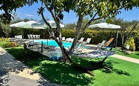 Villa Mater